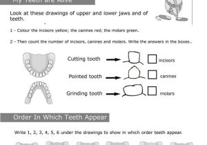 Personal Hygiene Worksheets Middle School with 8 Best Personal Hygiene Images On Pinterest