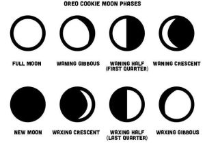 Phases Of the Moon Printable Worksheets together with 33 Best Mfw Unit 2 Moon Images On Pinterest