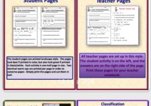 Phet isotopes and atomic Mass Worksheet Answer Key and 97 Best Evolution origin Of Life Images On Pinterest