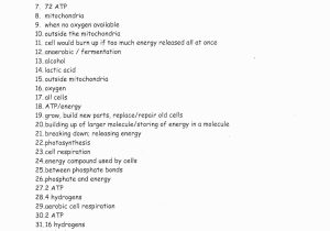 Photosynthesis and Cellular Respiration Review Worksheet Answer Key Along with 13 Elegant Worksheet Chemical Energy and atp