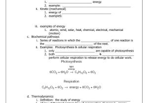 Photosynthesis and Cellular Respiration Review Worksheet Answer Key with Bio Worksheet the Best Worksheets Image Collection