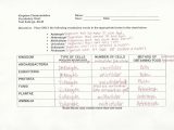 Photosynthesis and Cellular Respiration Worksheet Answers Also Synthesis and Cellular Respiration Review Worksheet Answer Key