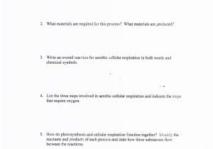 Photosynthesis and Cellular Respiration Worksheet Answers as Well as Synthesis Crossword Puzzle and Answers Answer Key Worksheet
