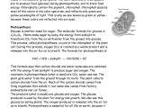 Photosynthesis and Cellular Respiration Worksheet Answers together with Worksheet Synthesis Making Energy Worksheet Answers Carlos