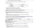 Photosynthesis and Cellular Respiration Worksheet Answers with 34 New S Synthesis Worksheet Answers Biology