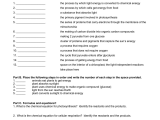 Photosynthesis and Respiration Worksheet Answers Along with Synthesis and Respiration Worksheet Answers Image Collections