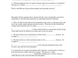 Photosynthesis and Respiration Worksheet Answers and Carbon Cycle Worksheet Fill In the Blanks Awesome Cellular