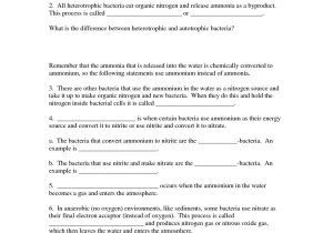 Photosynthesis and Respiration Worksheet Answers and Carbon Cycle Worksheet Fill In the Blanks Awesome Cellular