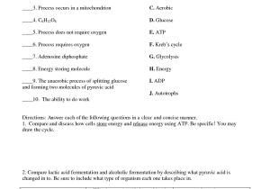 Photosynthesis and Respiration Worksheet Answers and Synthesis Crossword Puzzleeet Answers Inspirations Puzzle