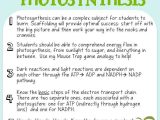 Photosynthesis Diagrams Worksheet Answers or 164 Best Bio Cell Respiration & Synthesis Images On Pinterest