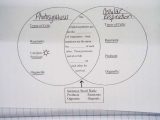 Photosynthesis Diagrams Worksheet Answers with 1873 Best Classroom Images On Pinterest