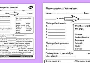 Photosynthesis Diagrams Worksheet Answers with Synthesis Worksheet Photosynthesis Plants Growth Living