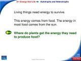 Photosynthesis Virtual Lab Worksheet Answer Key Also Chapter 8 Synthesis Section 81 Energy and Life Ppt