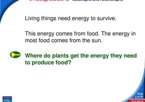 Photosynthesis Virtual Lab Worksheet Answer Key Also Chapter 8 Synthesis Section 81 Energy and Life Ppt
