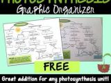 Photosynthesis Worksheet Answer Key Along with 164 Best Bio Cell Respiration & Synthesis Images On Pinterest