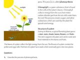 Photosynthesis Worksheet Answer Key as Well as 413 Best Science Images On Pinterest