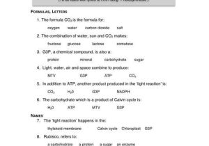 Photosynthesis Worksheet Answer Key as Well as Synthesis Worksheet Key Kidz Activities