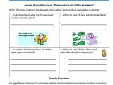 Photosynthesis Worksheet Answer Key or Synthesis Handout Made by the Amoeba Sisters to Visit