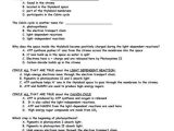 Photosynthesis Worksheet Answer Key with 52 Best Biology Images On Pinterest