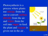 Photosynthesis Worksheet High School and Plants Use Energy From the Sun to Produce Carbon Dioxide and