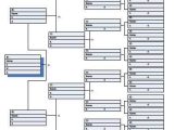 Phylogenetic Tree Worksheet Also 108 Best Geneology Images On Pinterest
