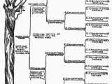 Phylogenetic Tree Worksheet and 413 Best Family Tree Crafts Images On Pinterest