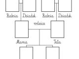 Phylogenetic Tree Worksheet or 20 Best Drzewo Rodzinne Images On Pinterest