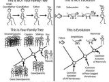 Phylogenetic Tree Worksheet or 276 Best Biology Images On Pinterest