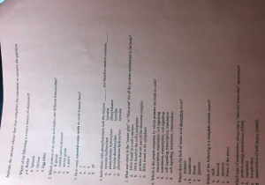 Physical and Chemical Changes Worksheet Answer Key together with Biology Archive December 05 2016 Chegg