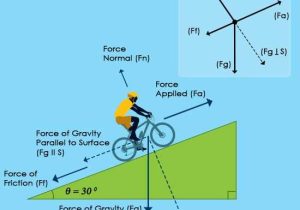 Physics Free Body Diagram Worksheet Answers Also 7 Best Physics Images On Pinterest