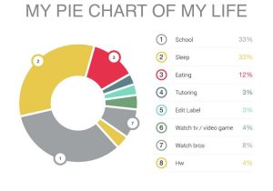Pie Chart Worksheets as Well as My Lifesalasp5 by Amandacowanpenegar