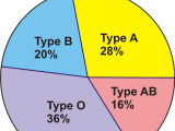 Pie Graph Worksheets High School Along with Pie Charts Bar Graphs Histograms and Stem and Leaf Plots