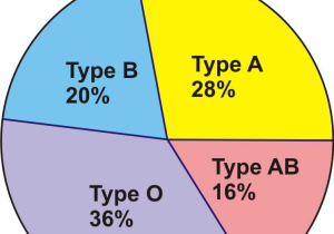 Pie Graph Worksheets High School Along with Pie Charts Bar Graphs Histograms and Stem and Leaf Plots