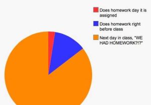 Pie Graph Worksheets High School or 53 Best Pie Charts Images On Pinterest
