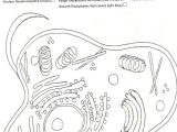 Plant and Animal Cell Coloring Worksheets with Plant and Animal Cell Coloring Page Az Coloring Pages