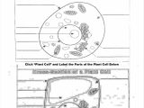 Plant Cell Worksheet Answers Along with Animal and Plant Cell Labeling