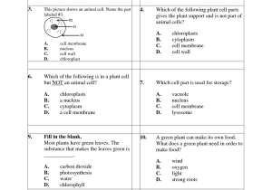 Plant Cell Worksheet Answers and Excel Science Worksheets for 5th Grade Free Science Worksheets for