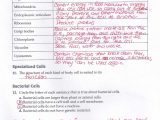 Plant Cell Worksheet Answers with the Cell Worksheet 342dfc312a9b Battk
