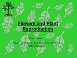 Plant Reproduction Worksheet Along with Flowers and Plant Reproduction Line Lesson 1 Watch This First and