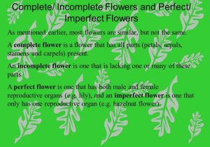 Plant Reproduction Worksheet Also Flowers and Plant Reproduction Line Lesson 1 Watch This First and