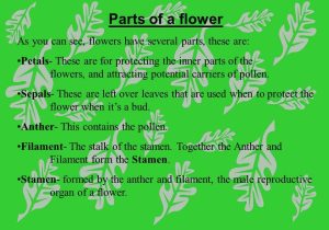 Plant Reproduction Worksheet Also Flowers and Plant Reproduction Line Lesson 1 Watch This First and