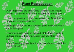 Plant Reproduction Worksheet as Well as Flowers and Plant Reproduction Line Lesson 1 Watch This First and