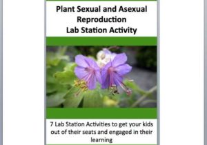 Plant Reproduction Worksheet as Well as Plant Ual and A Ual Reproduction 7 Engaging Lab Stations by