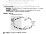 Plant Reproduction Worksheet as Well as Worksheet A Ual Reproduction