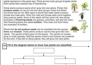 Plant Reproduction Worksheet together with Plant Reproduction Worksheet Teaching Ideas