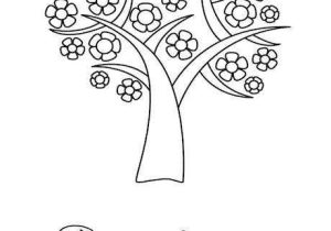 Plant Worksheets for Kindergarten Also Activities for Kindergarten Drawing at Getdrawings
