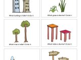 Plant Worksheets for Kindergarten and Free Printable Worksheets On Measuring Sizes Tall and Short