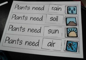 Plant Worksheets for Kindergarten together with 45 Best Plants Images On Pinterest