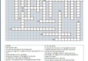 Plate Tectonics Crossword Puzzle Worksheet Answers Also 11 Best Teaching Science Vocabulary Grade 5 Images On Pinterest