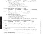 Plate Tectonics Review Worksheet and Physical Science Worksheets Answers Worksheets for All